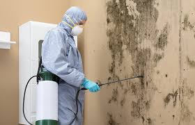 Best Industrial Mold Remediation  in Romancoke, MD